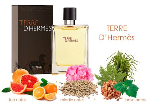 hermes perfume ingredients